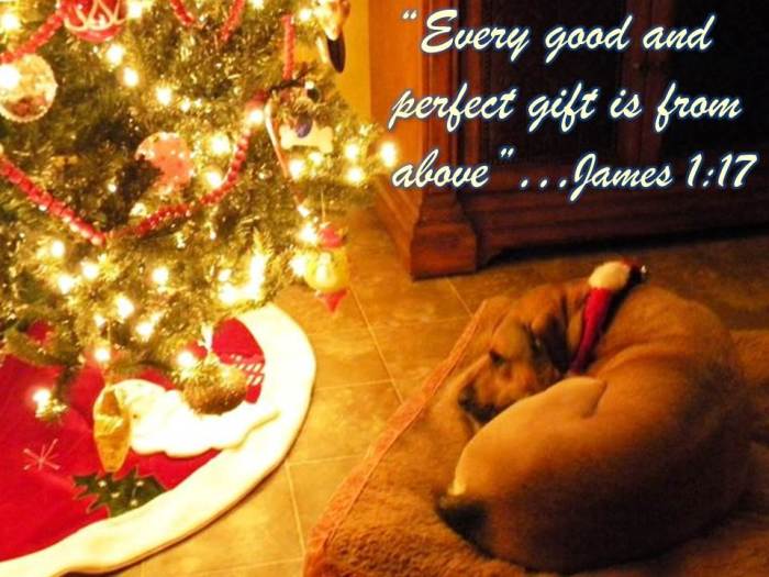 16 - Daily Dependnece - James 1-17 - Every Good Gift