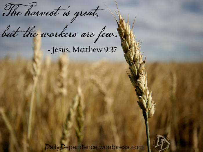 “The harvest is great, but the workers are few."
