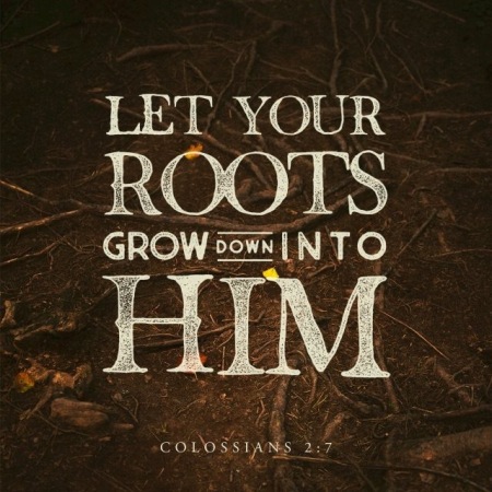 115-daily-dependence-colossians-2-6-7